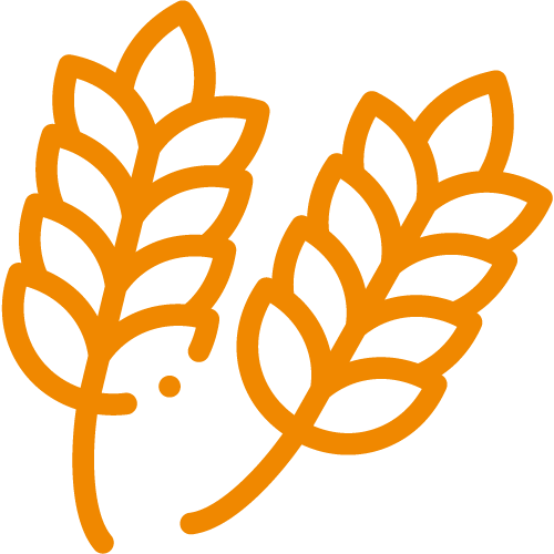 iconos-vinos_tipo-de-uva